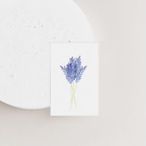 Lavendel (blanco)