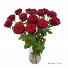 Rode roos (Red Naomi), een symbool van liefde en elegantie, geschikt voor elke gelegenheid.  